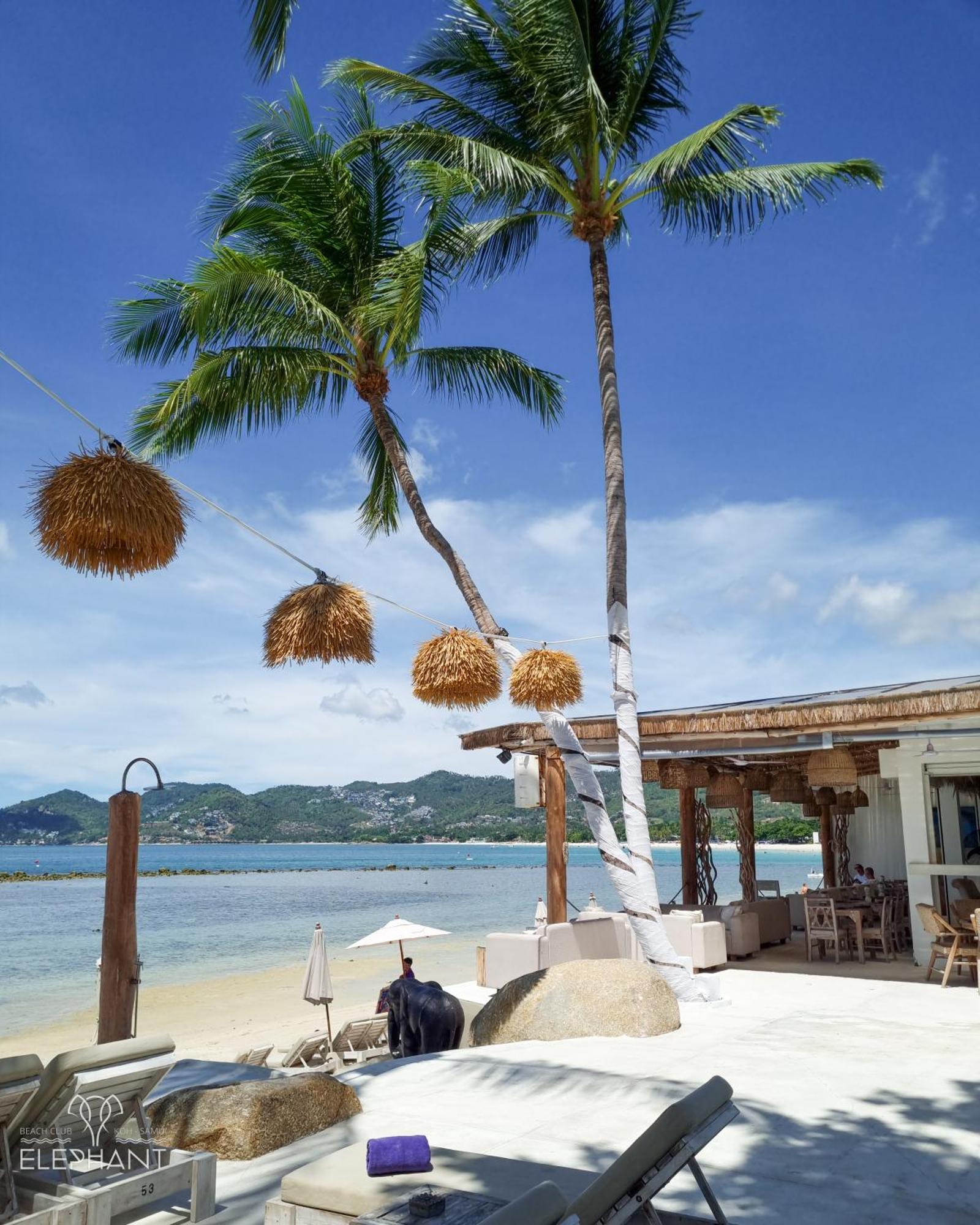 Elephant Beach Club & Resort Samui チャウエン エクステリア 写真
